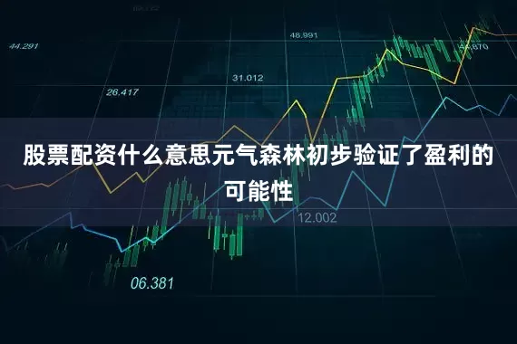 股票配资什么意思元气森林初步验证了盈利的可能性